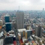 Johannesburg 2016 CC BYAdamina210125 040158