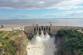 Tanzania Switches On $2.9 Billion Mega-Dam in Major Egyptian Infrastructure Win