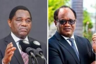 DNE Africa